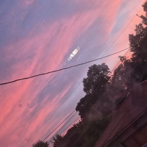 Fundraising Page: Rileigh Sandate